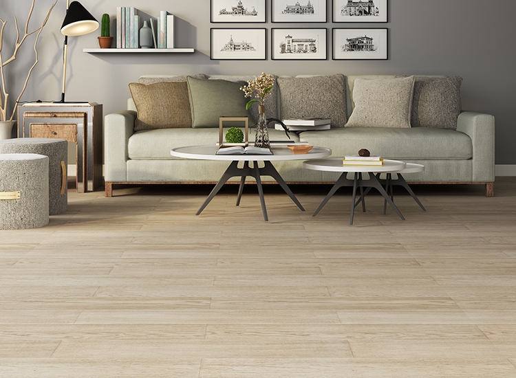 American Red Oak · Night